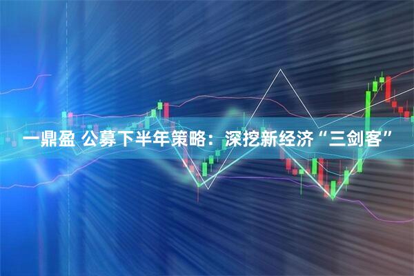 一鼎盈 公募下半年策略：深挖新经济“三剑客”