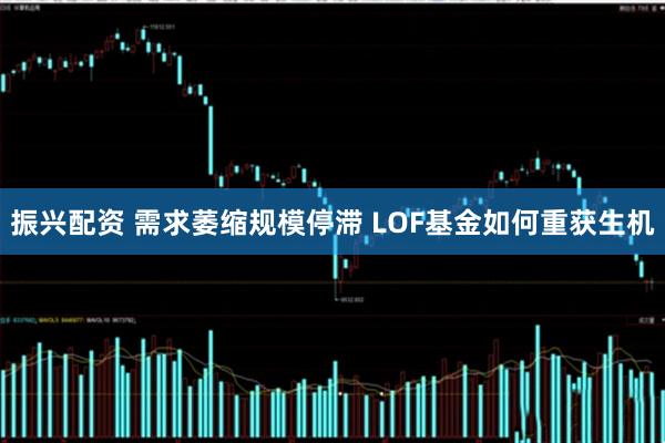 振兴配资 需求萎缩规模停滞 LOF基金如何重获生机