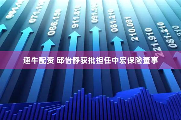 速牛配资 邱怡静获批担任中宏保险董事