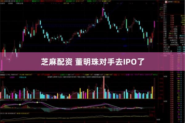 芝麻配资 董明珠对手去IPO了