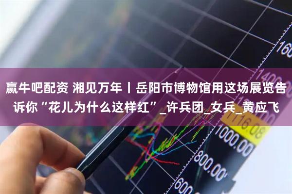 赢牛吧配资 湘见万年丨岳阳市博物馆用这场展览告诉你“花儿为什么这样红”_许兵团_女兵_黄应飞